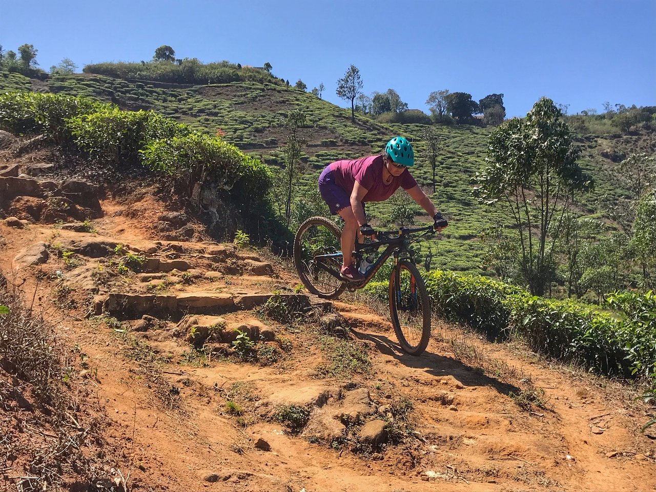 Kerala Bicycle Tour: The Tropical Highlights 7 Days